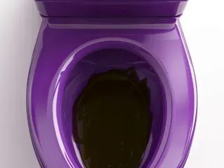 Русское дерьмо в фиолетовом унитазе