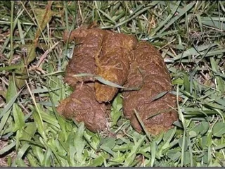 Подлива в 8 мартовском исполнении