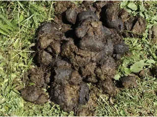 Фото ради баланса Вселенной