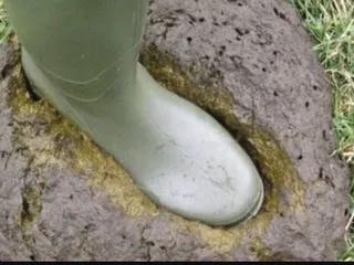 Наступаем на какашку