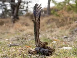 Говно писателя