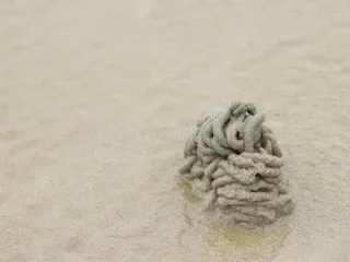 Жвачки в воде