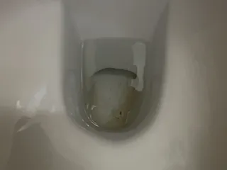 Каловый налет и моча в углу