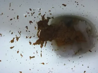 ЖОПЬИ ГОРЫ ОРИГИНАЛ