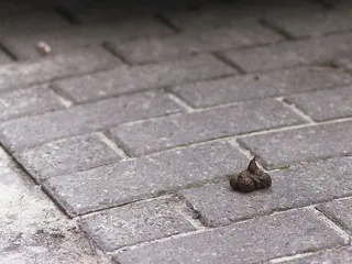 Кто ты воин...