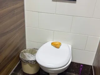 самса судьбы