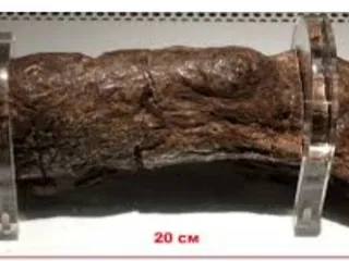 Самая большая какашка в мире