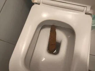 Перпендикуляр