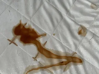 кровавая неожиданность