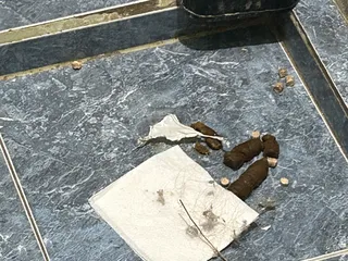 дристопляска