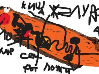 анатомия какашки ремастеренд