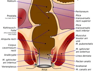 я немогу спокойно высрать это говно