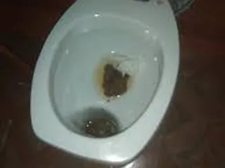 моя какашулька за 3 дня