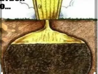 как выглядит деревенский туалет внутри