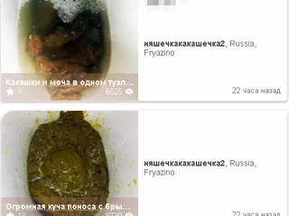 какашки и моча в од. туал. и огромная куча поноса похожи
