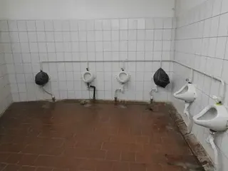 тоже самое что тварится в туалетах и унитазов в говне людей