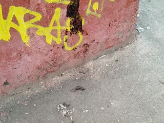 мякоть засохшая