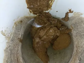 29.06.2026