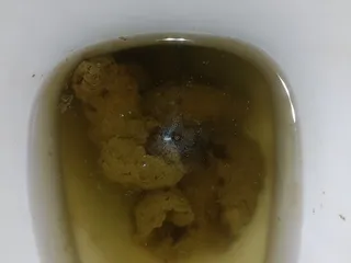 03.07.2026