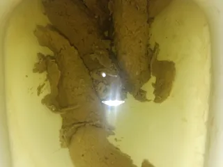 11.07.2026