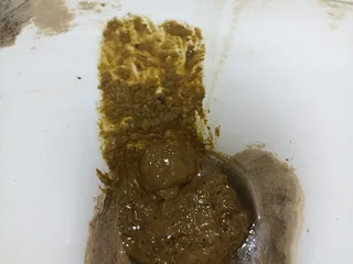 14.07.2026