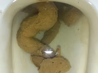 01.08.2026