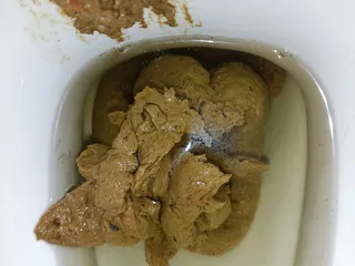 04.08.2026