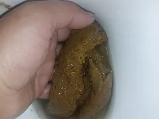 23.08.2026