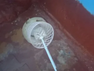 Туалет