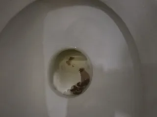 галочка
