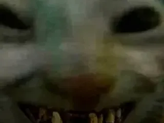 Матвей Бодяг