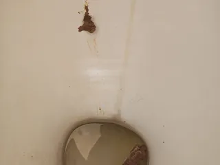 Я хотел срать весь день