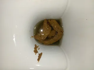 Какашка от новичка