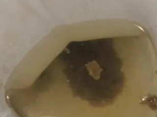 Какашка Утопленник