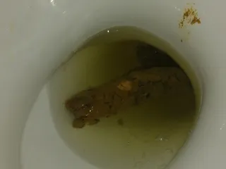 Масляный пук