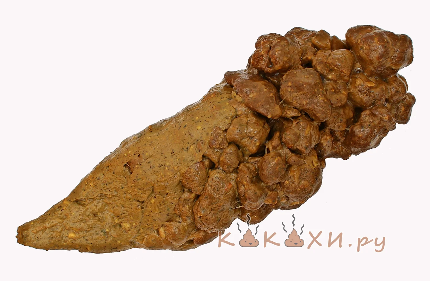 Короткая и толстая ( Колбоса )