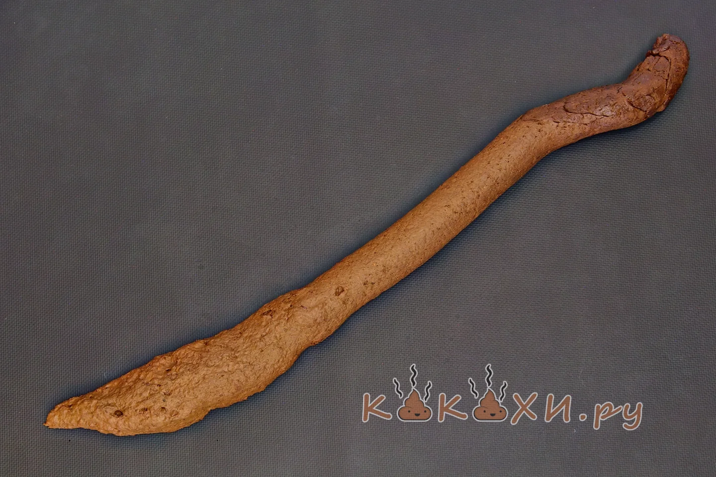 С пышным хвостиком ( Колбоса )