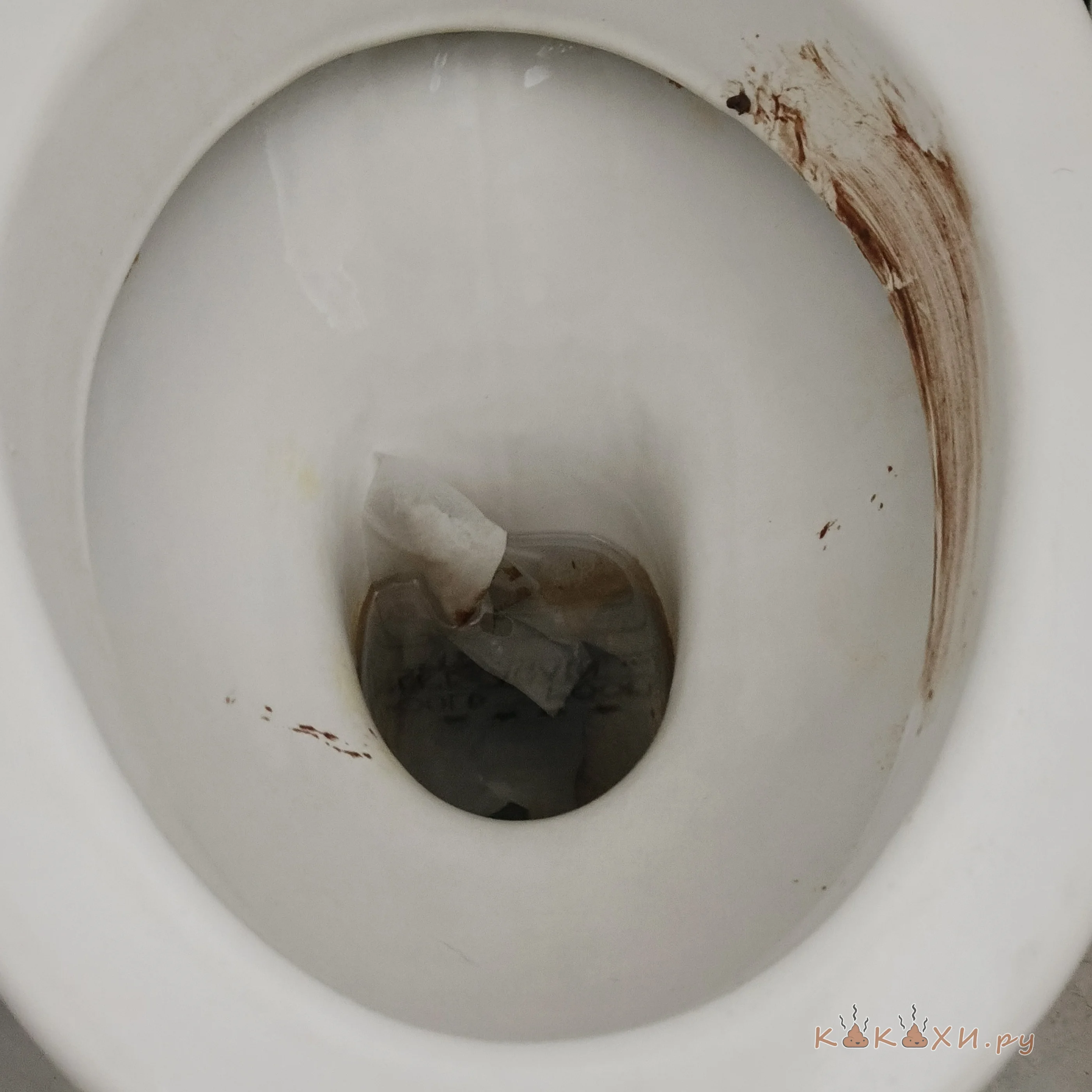 порвать жопу 200 место ( Мой туалет )