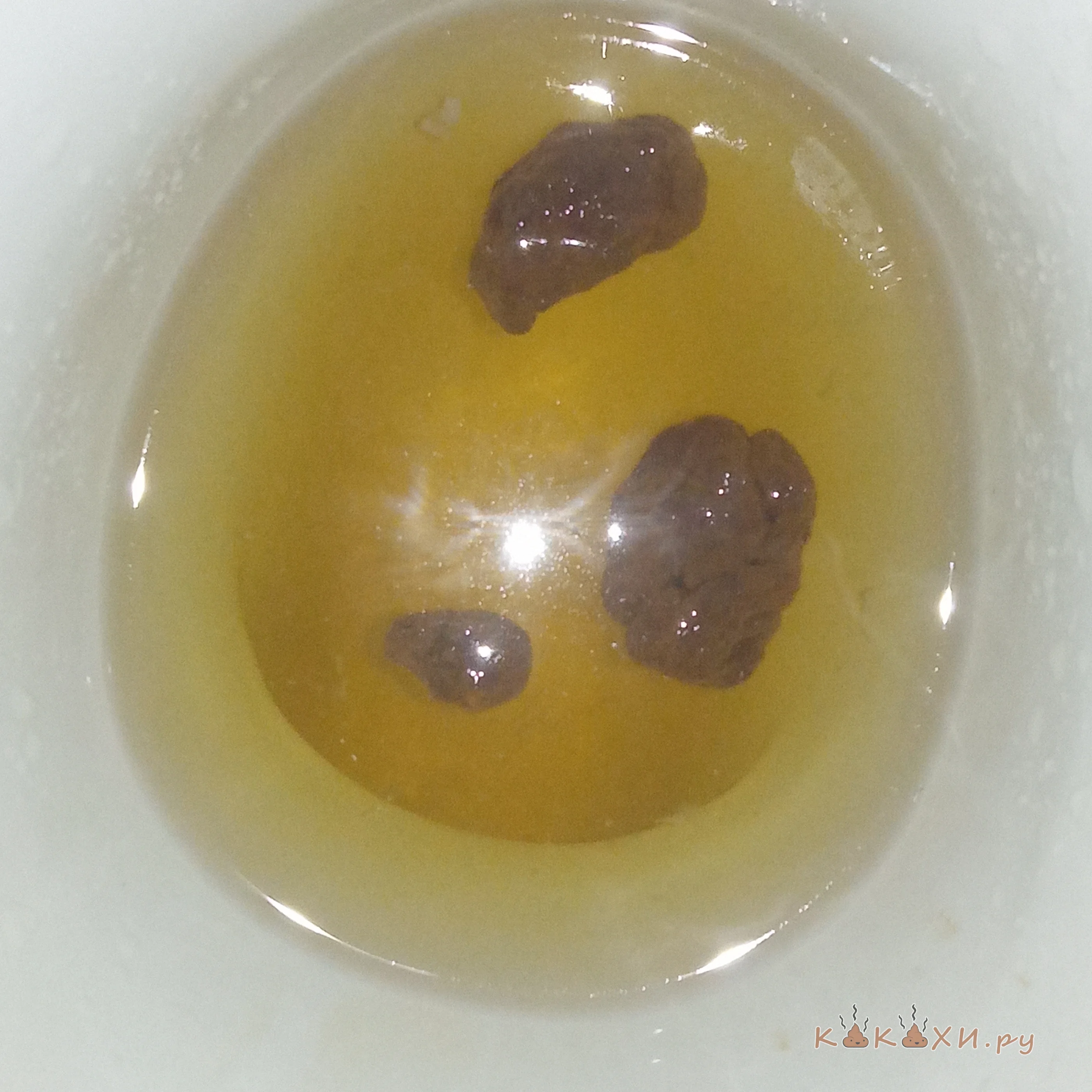 burbuline arbata ( Козья )