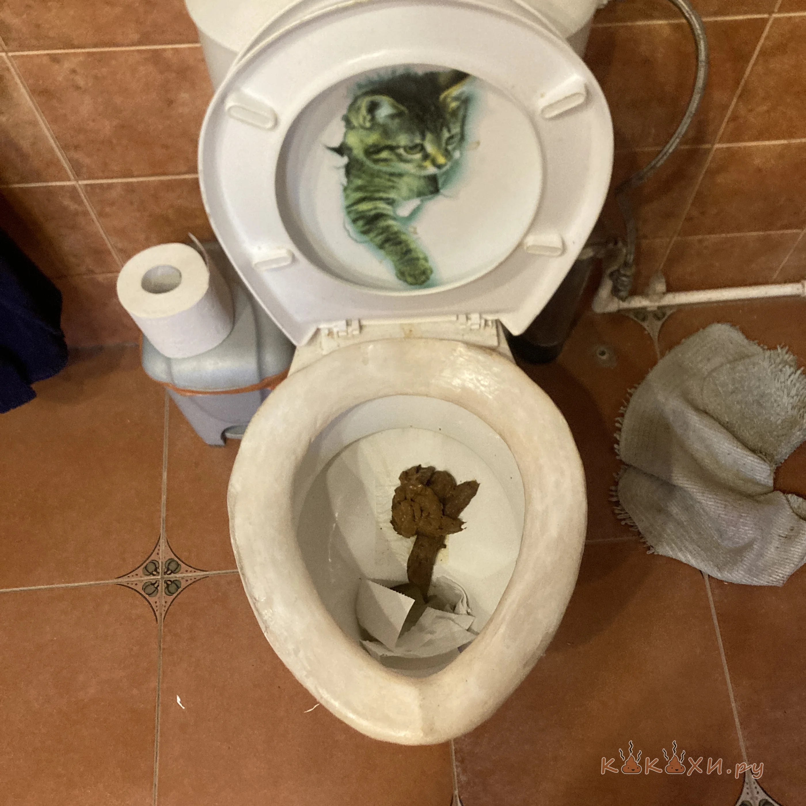 Говнище ( Колбоса )