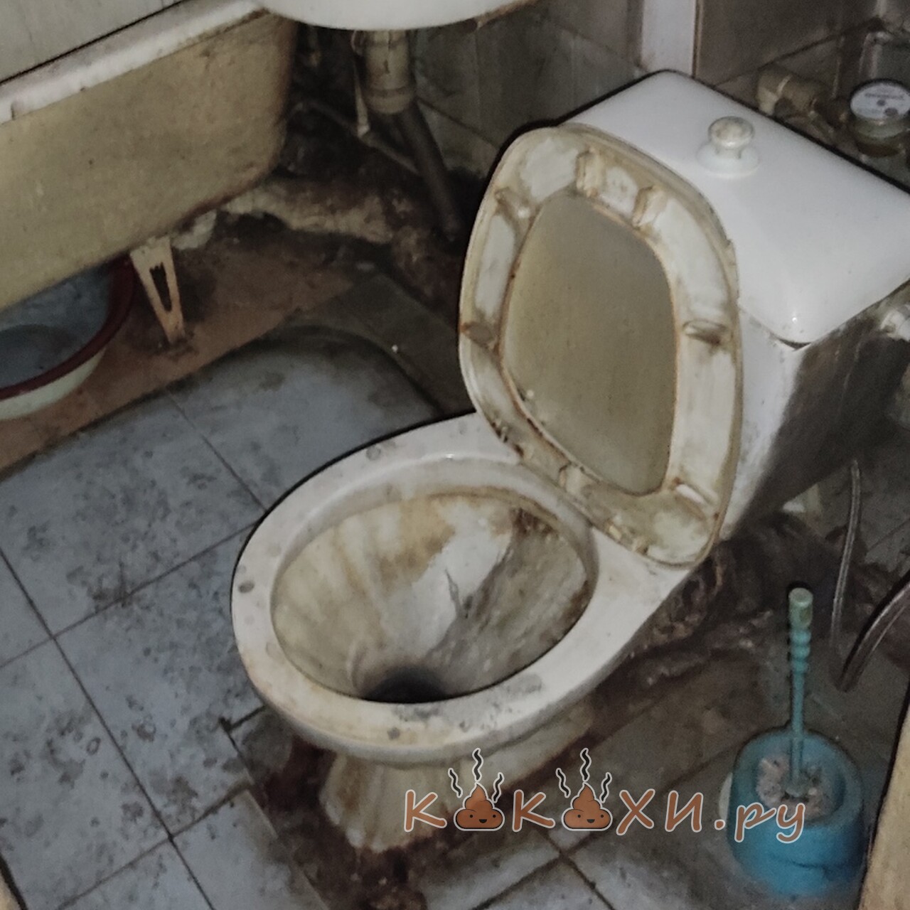 Солидный трон ( Мой туалет )