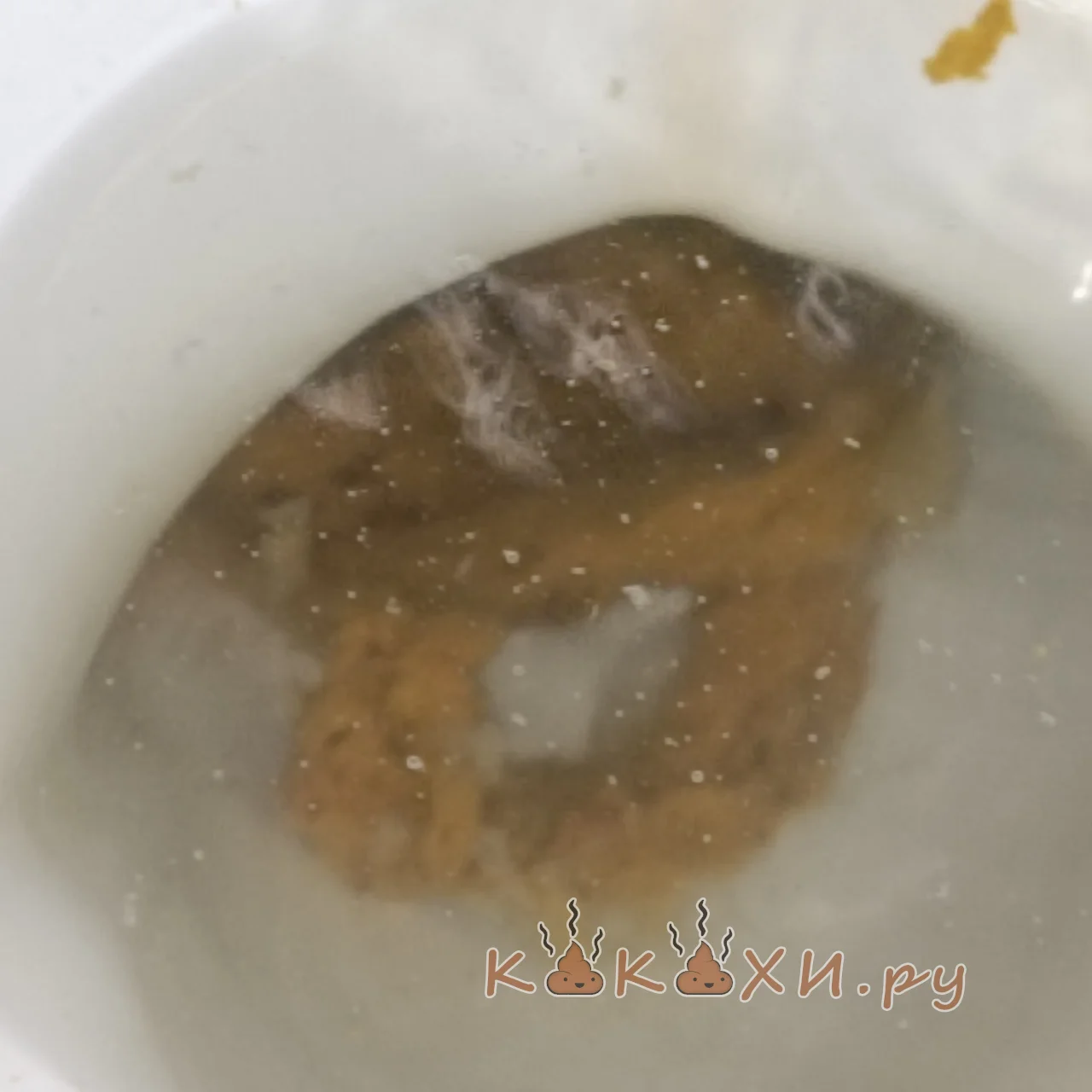 Хорошо, что не в трусы ( Ошметки )