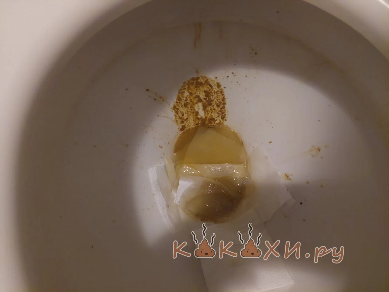 Бобовое пюре ( Подлива )