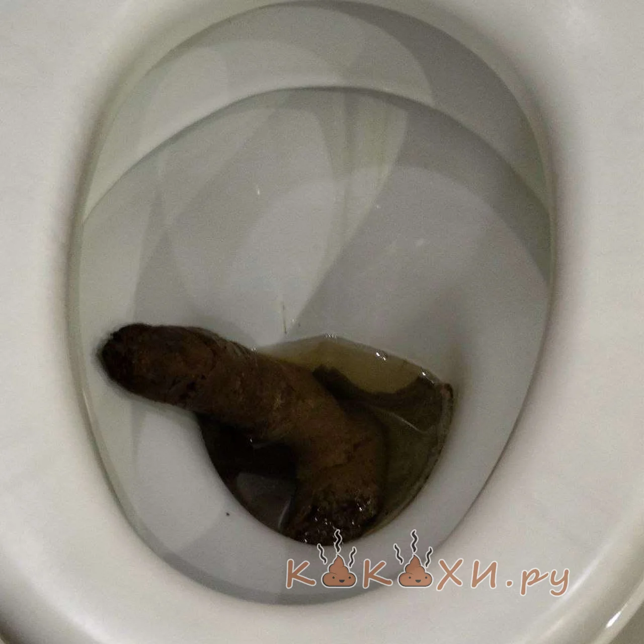 член ( Непонятная )