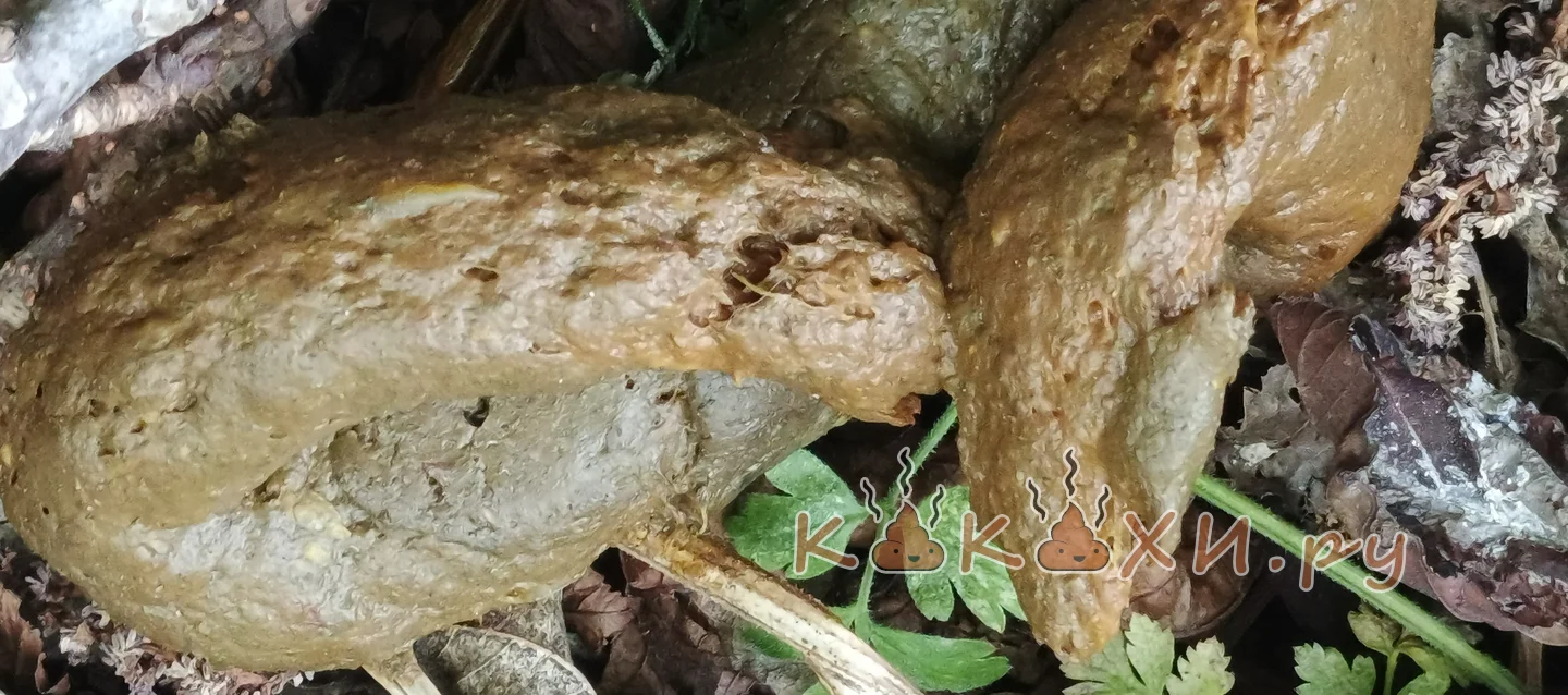 Кирюха ( Человек говно )
