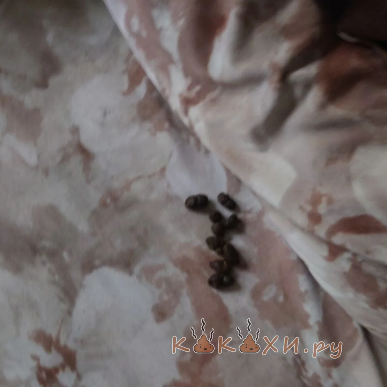 Персик нахуярил ( Козья )