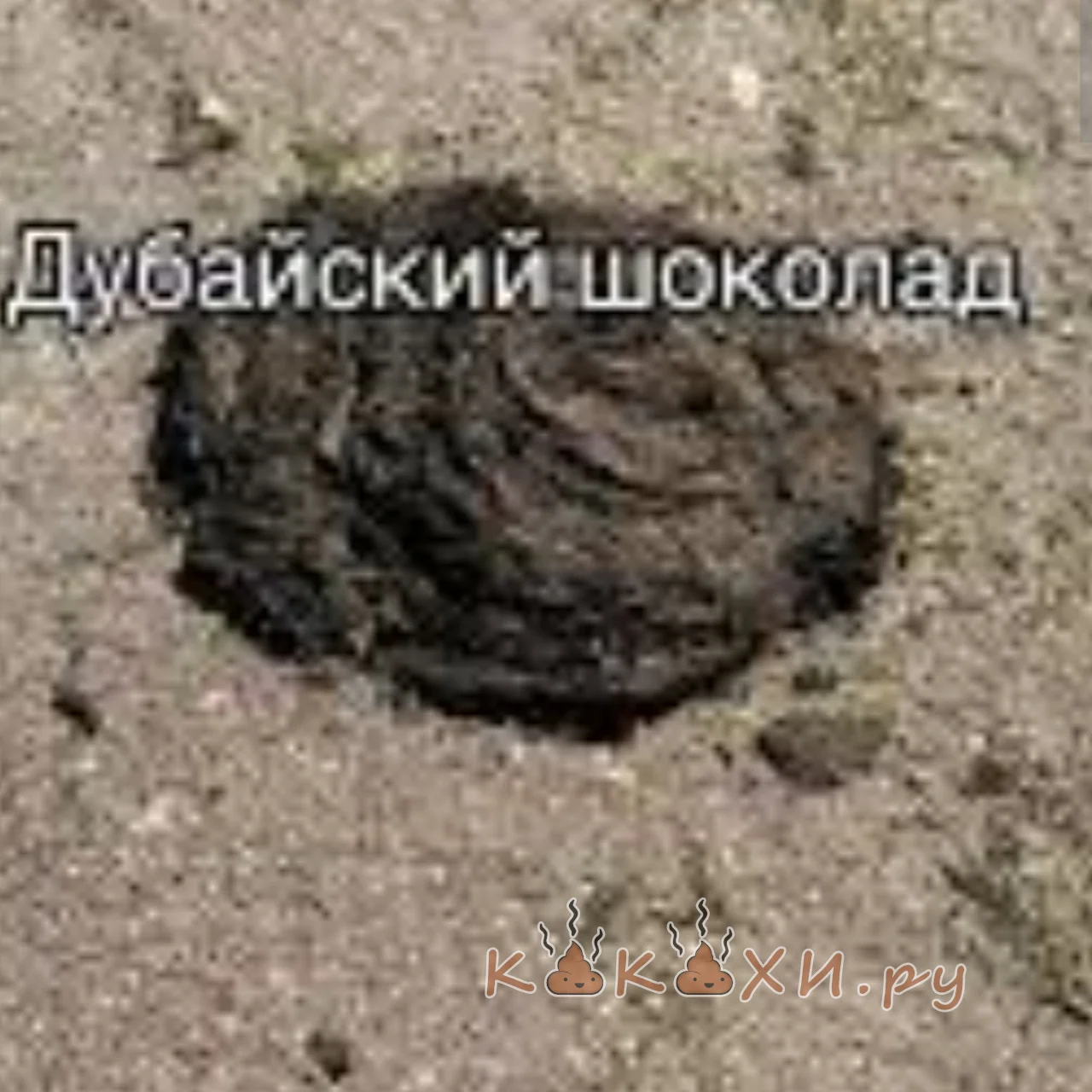 Дубайский шоколад ( Козья )
