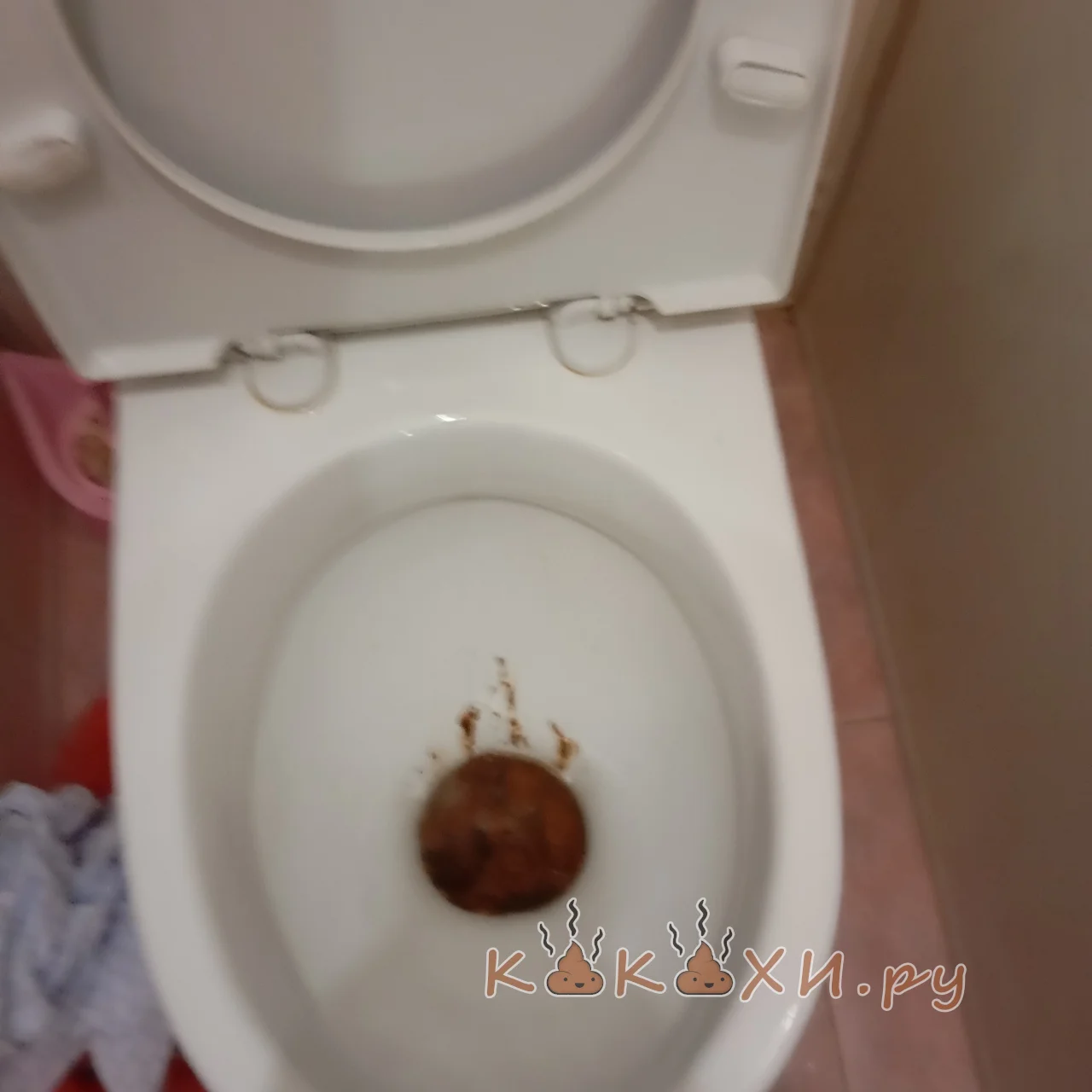 Суп из говна ( Подлива )