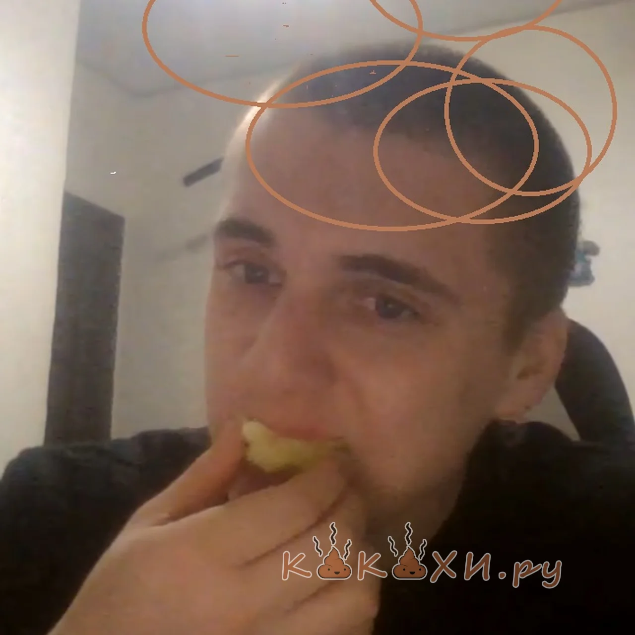 Олень ( Мой туалет )