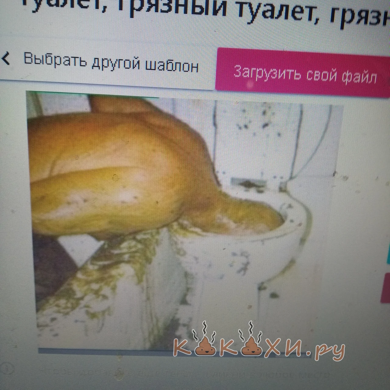 Говноед ест говно в унитазе